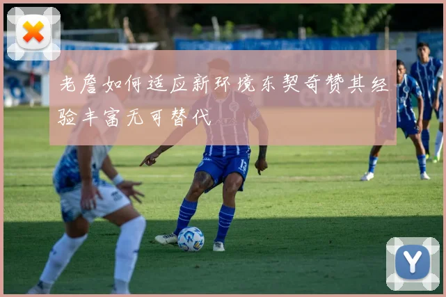 老詹如何适应新环境东契奇赞其经验丰富无可替代