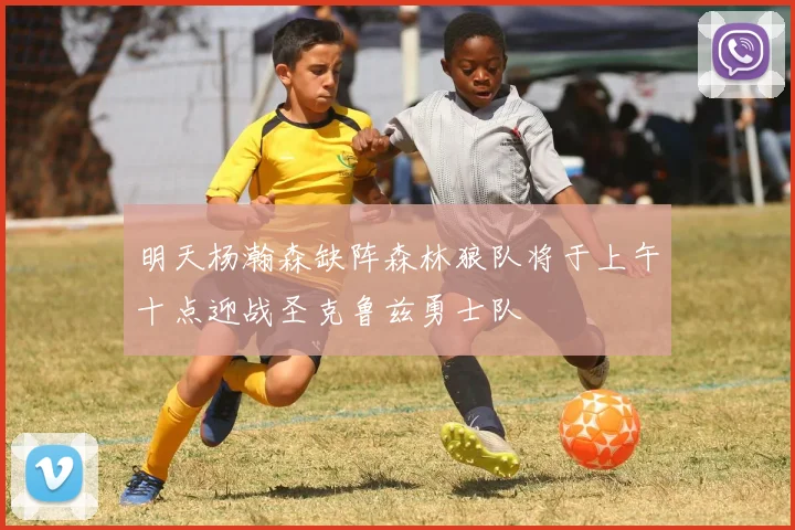 明天杨瀚森缺阵森林狼队将于上午十点迎战圣克鲁兹勇士队