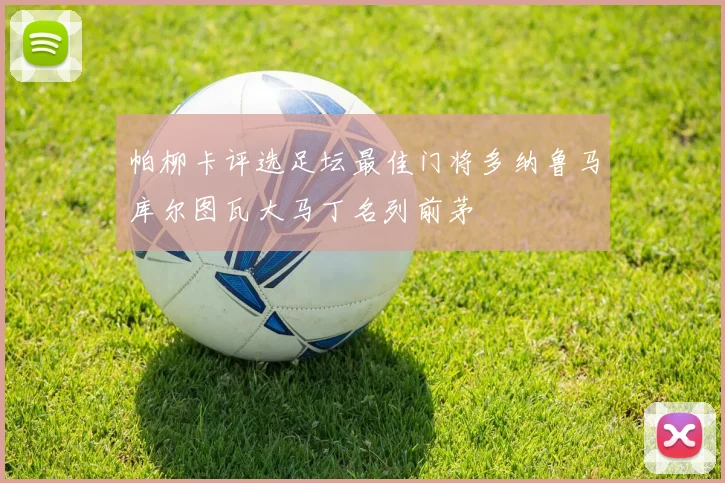 帕柳卡评选足坛最佳门将多纳鲁马库尔图瓦大马丁名列前茅